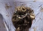 Coral Haircomb